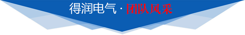 得潤(rùn)電氣團(tuán)隊(duì)風(fēng)采